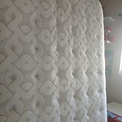 Twin matress with cover protection and few twin sheet sets if you want