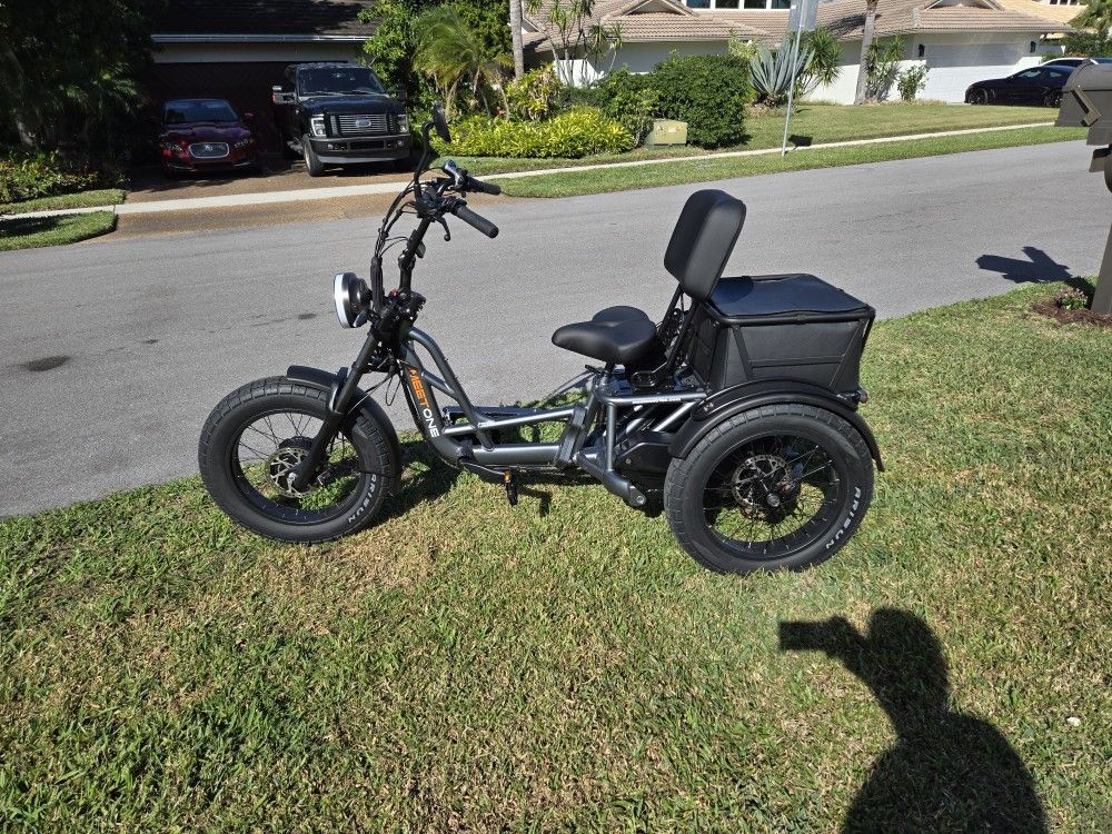 Meetone Dual Motor trike