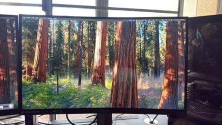 (2) MSI Optix Mag24c