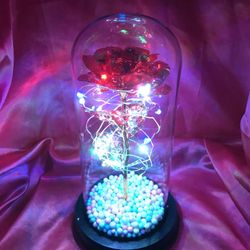 ❤️😍🌹Great Mother’s Day Gift 🎁 Brand New In The Box 