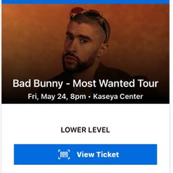 Bad Bunny Concert LOWER LEVEL - Reduced Price! 