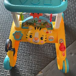Smart Stages Baby Walker 