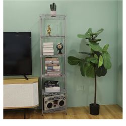 Shelves 
