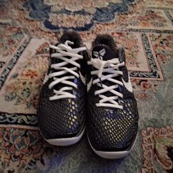 Kobe 6 protro size11