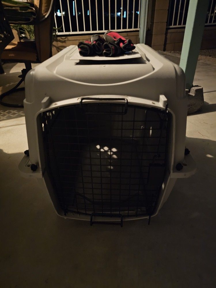 Medium Dog Crate And Shoes