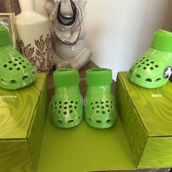 Dog Crocs
