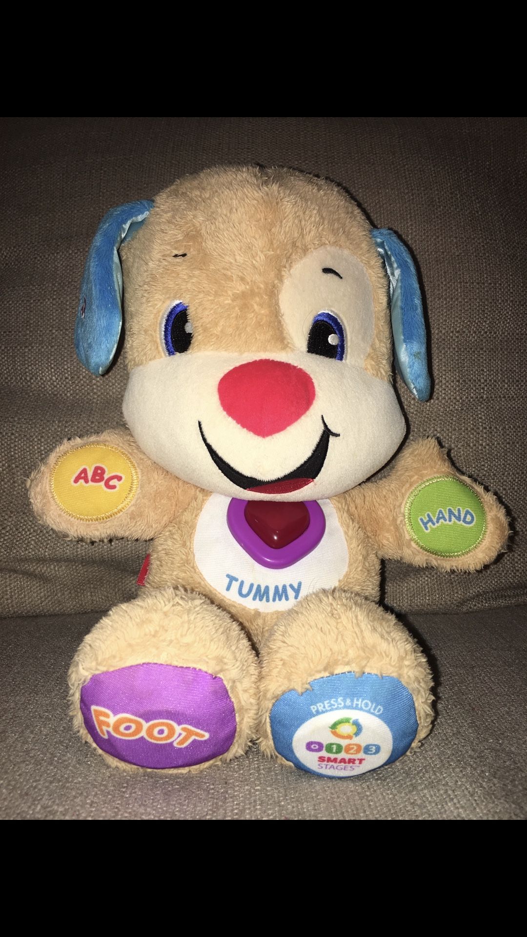 Fisher Price Dog Play And Learn 