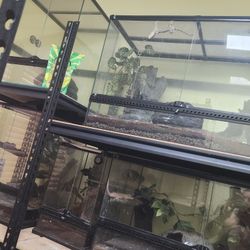 Gecko Terrariums 