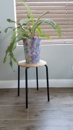 Plant Stand