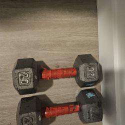 20 Lbs Dumbells 