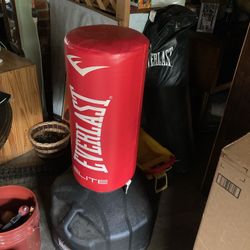 Everlast Kickboxing Bag