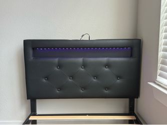 Black Light-Up Twin XL Bed