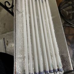 T5 Fluorescent Light grow equipment