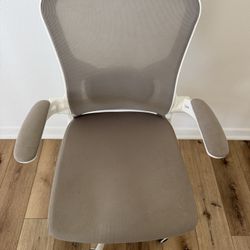 Ergonomic Chair