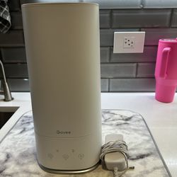 Govee Smart Humidifier (ambient Lighting)