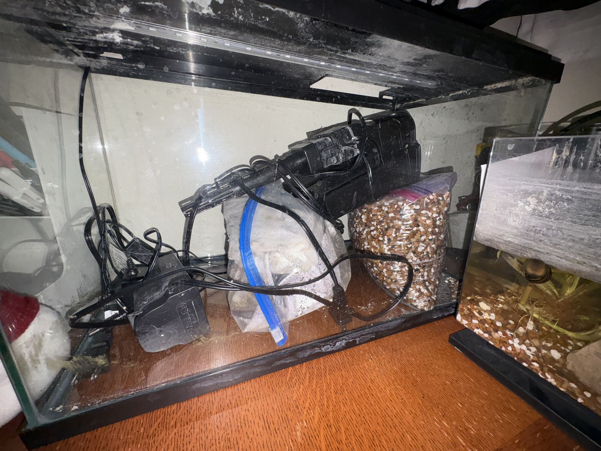 Fish Tank