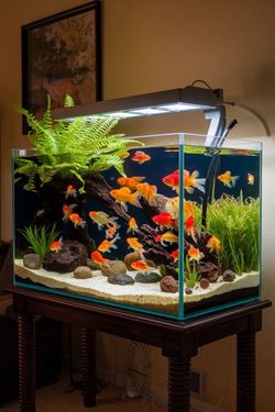 Fish tank