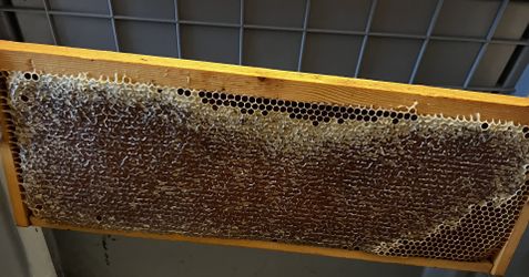 Charcuterie Honey Frame