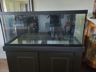 75 gallon aquarium