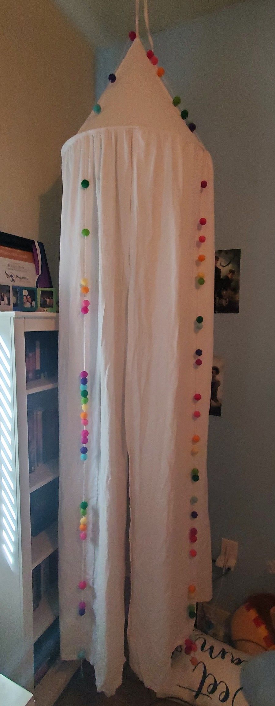 Princess Bed Canopy girls reading nook