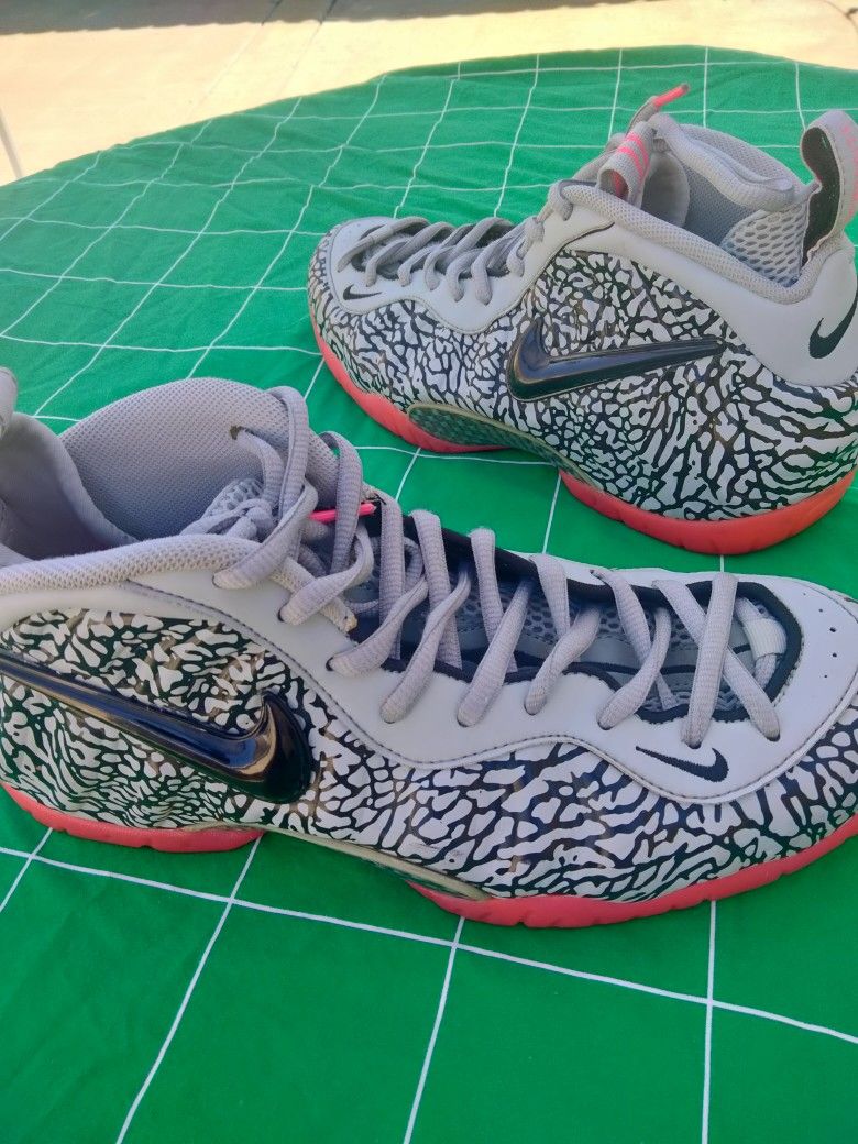 Nike Air Foamposite Pro
Elephant Print