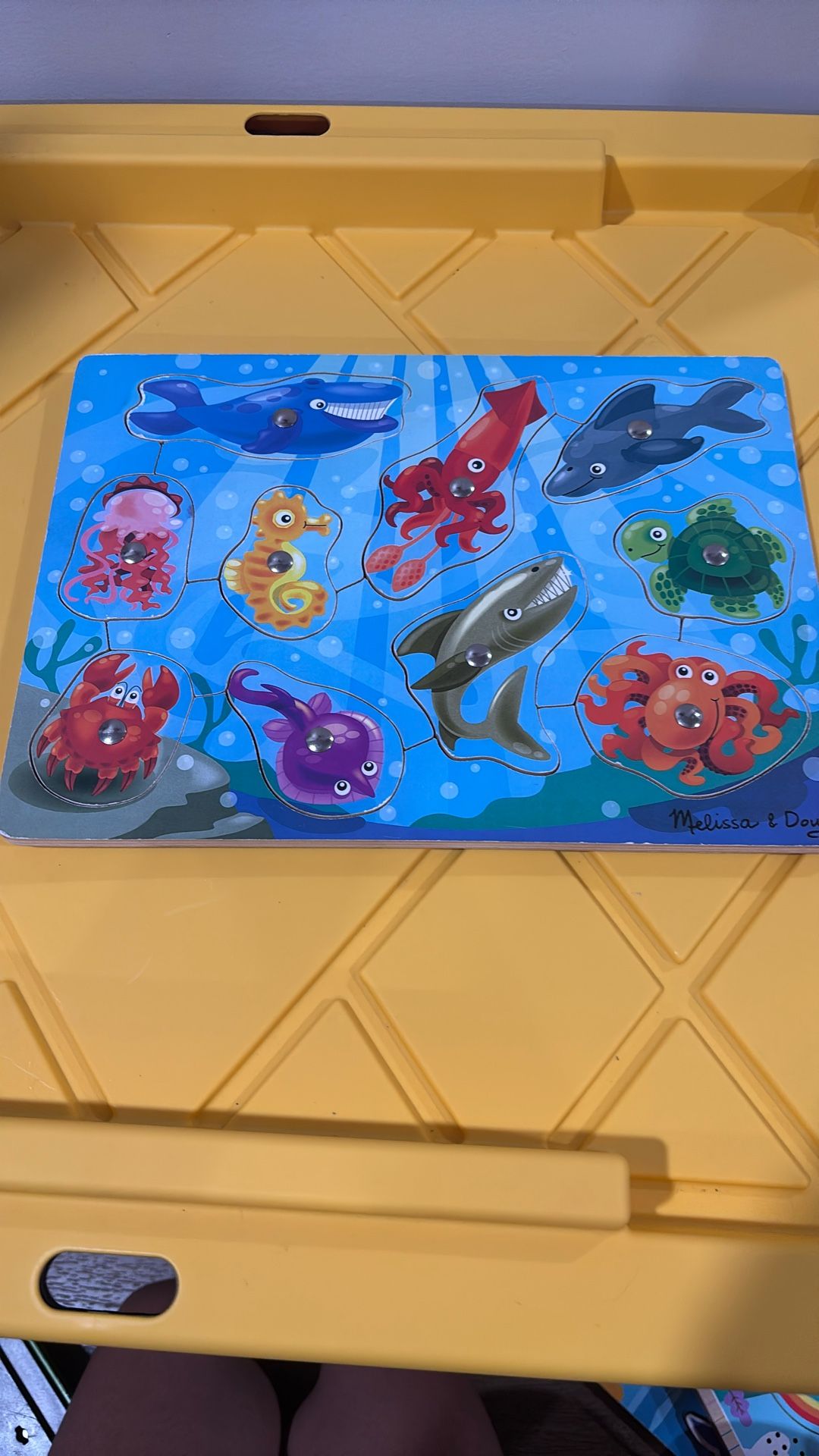 Magnetic Puzzle Sea Animals