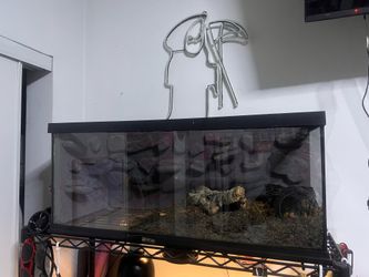 20 Gal W/ Custom Background & lid