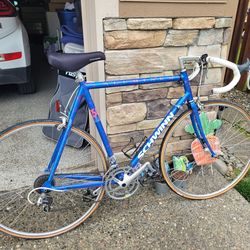 Schwinn bike