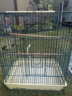 Bird cage