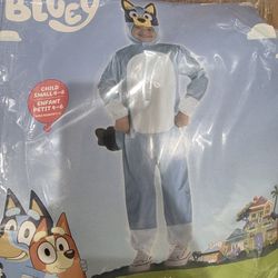 Bluey Halloween Costume
