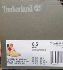 Timberland Shoe