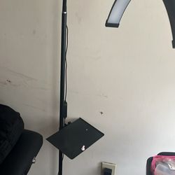 Lash Light / Moon Light 