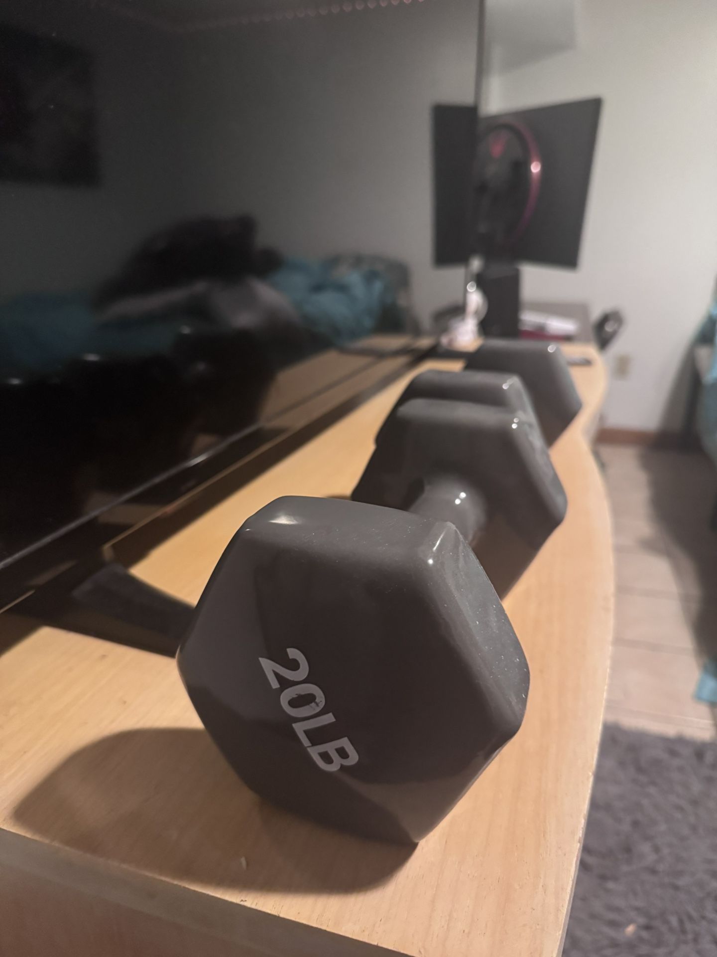 20 Lb Weights - Gently used