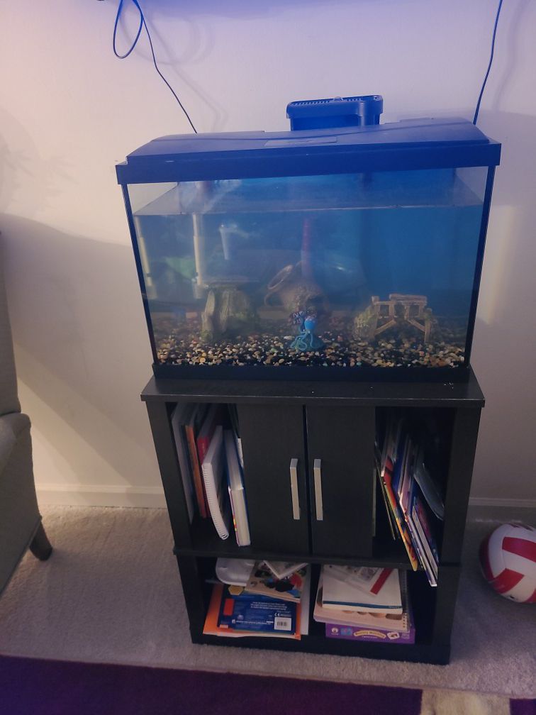 Fish Tank 30 gallons with stand