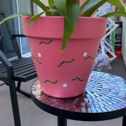 Hand Painted Terracotta Plant Pot 8 inch