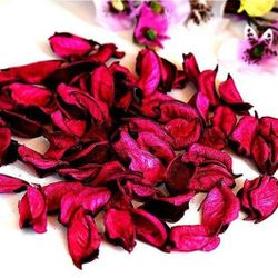 17oz Red Natural Flowers Petals Wedding Confetti Dried Flower Girl Basket Petal Craft Table Decor Home Vase Filler Bridal Shower Favor