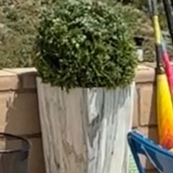 Faux Plant