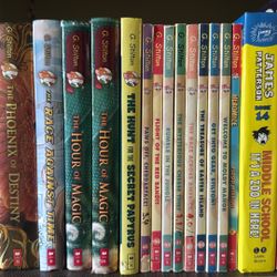 G Stilton Book Series