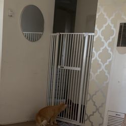 Cat/dog Pet Fence/gate