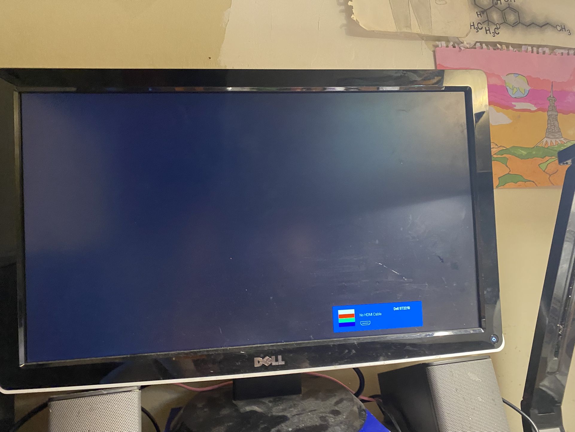 Dell HD+ Monitor (pickup only)