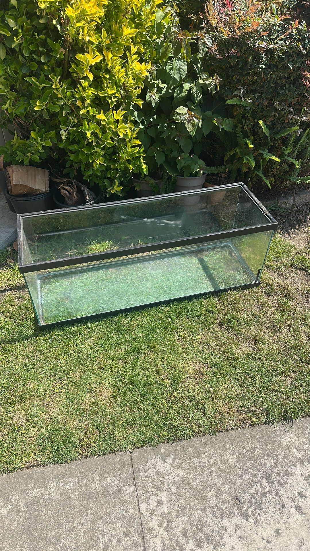 Fish Tank Or Turtle Tank 