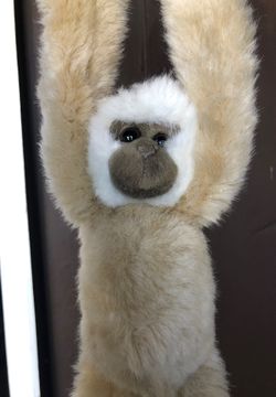 Toy/Plush/Doll Monkey