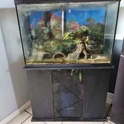 45 Gal Aquarium With Stand