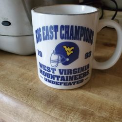1993 WEST VIRGINIA MOUNTAINEERS Football Undefeated Ceramic Coffee Mug RARE