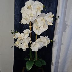 Phalaenopsis with silver Vase  Flower Arrangement

