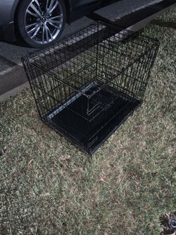 Kennel
