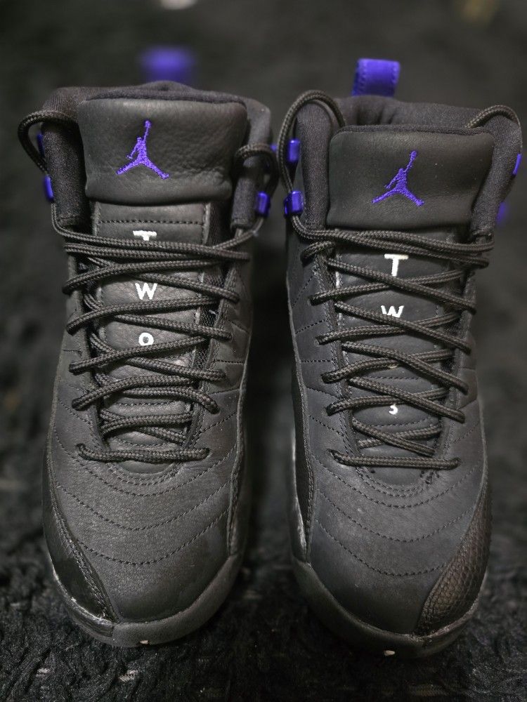 Air Jordan 12 Retro "Dark Concord"