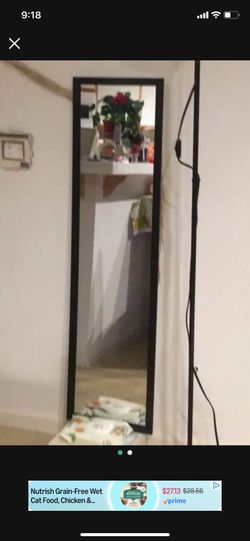 Nice Long Mirror Available 95134