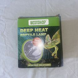 Reptile Lamp