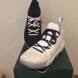 Lebron XvI